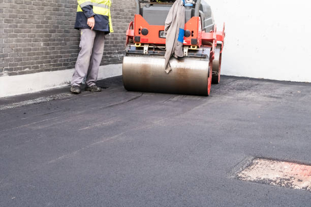 Best Driveway Border and Edging  in Audubon, NJ